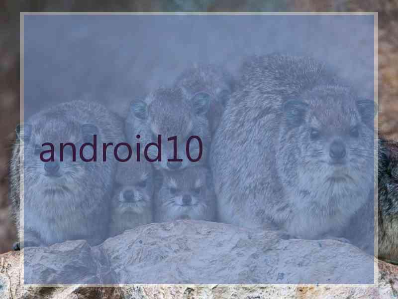 android10