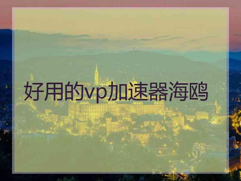 好用的vp加速器海鸥