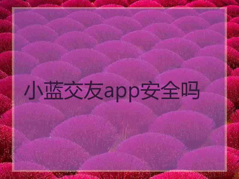 小蓝交友app安全吗