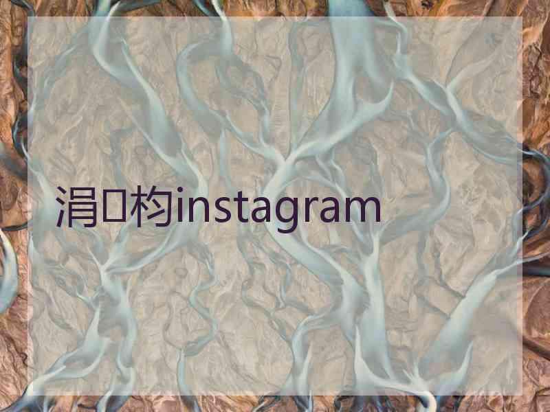 涓枃instagram