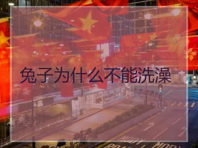 兔子为什么不能洗澡