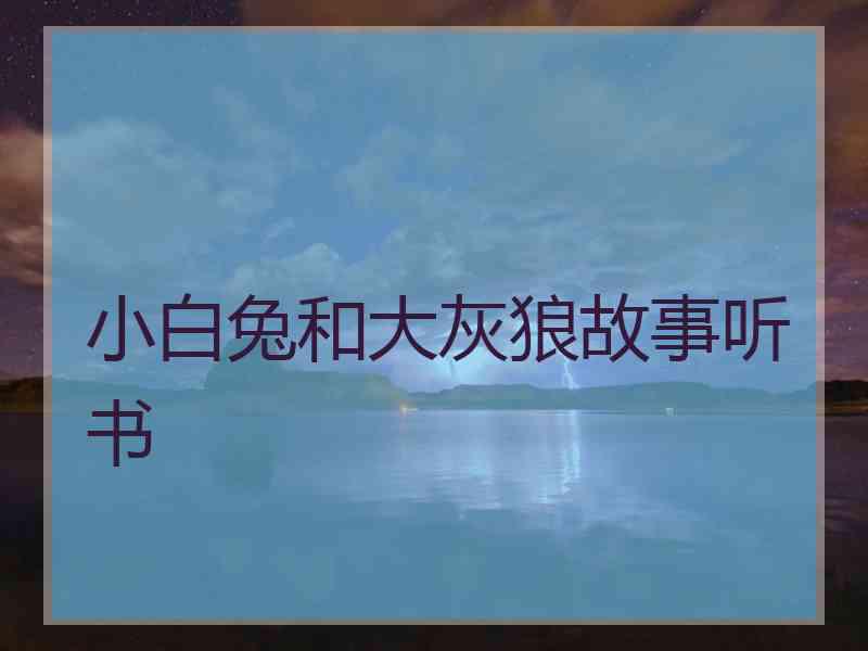 小白兔和大灰狼故事听书