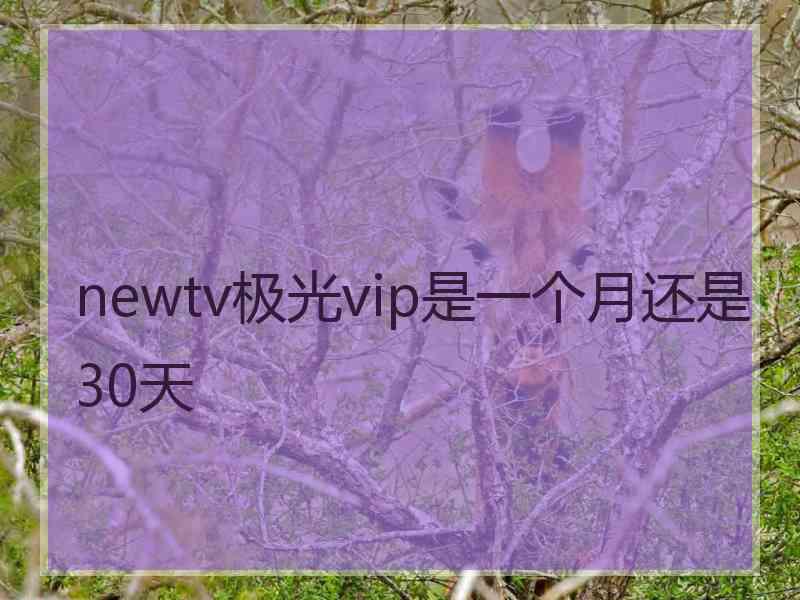 newtv极光vip是一个月还是30天