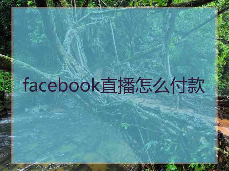 facebook直播怎么付款