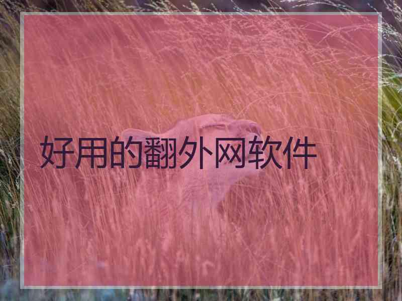 好用的翻外网软件