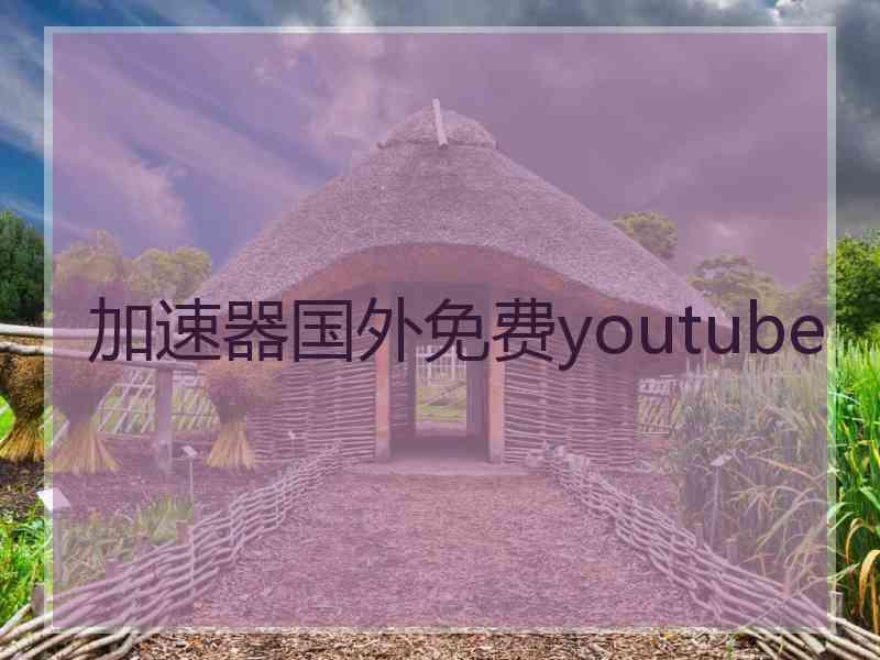 加速器国外免费youtube