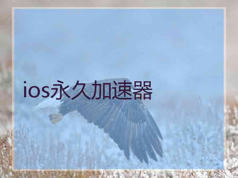 ios永久加速器
