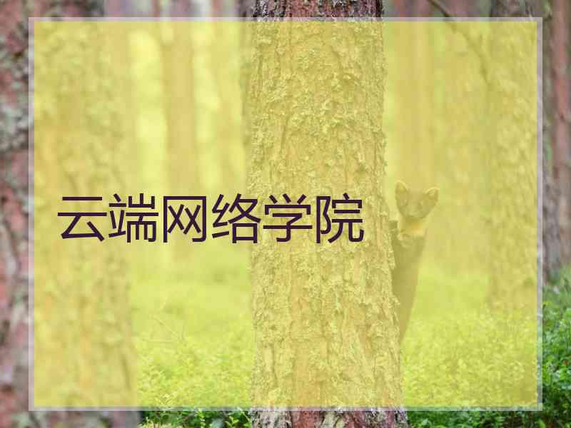 云端网络学院