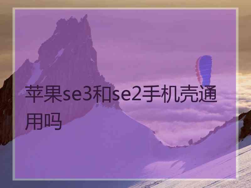 苹果se3和se2手机壳通用吗