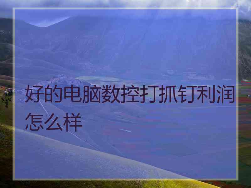 好的电脑数控打抓钉利润怎么样