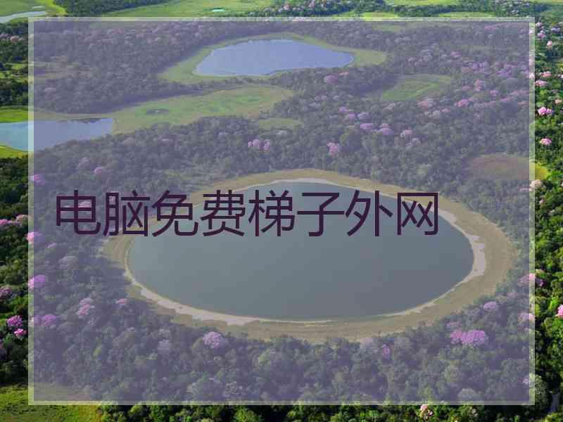 电脑免费梯子外网