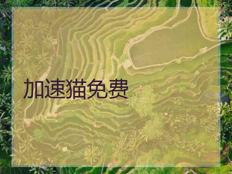 加速猫免费