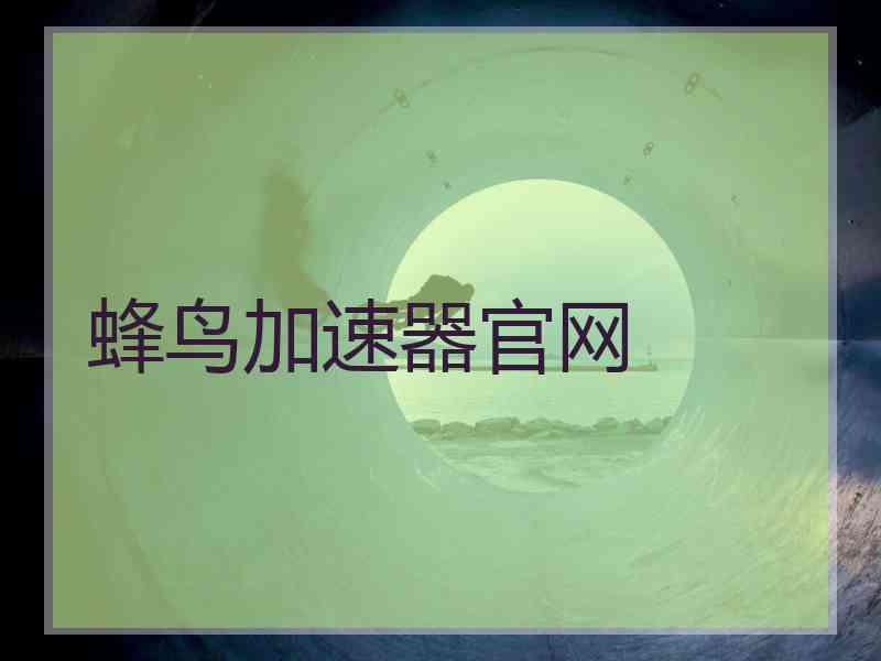蜂鸟加速器官网