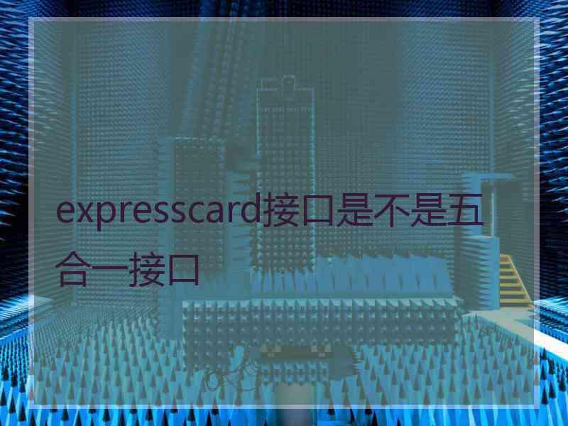 expresscard接口是不是五合一接口