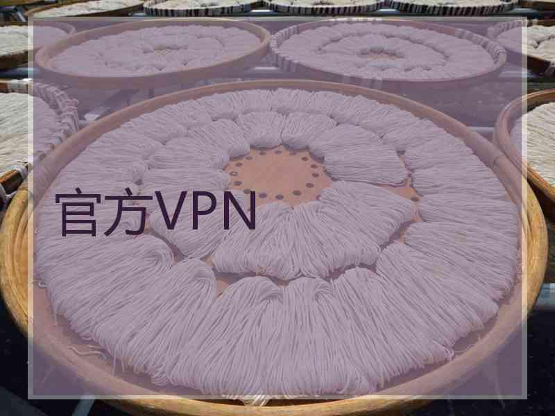 官方VPN
