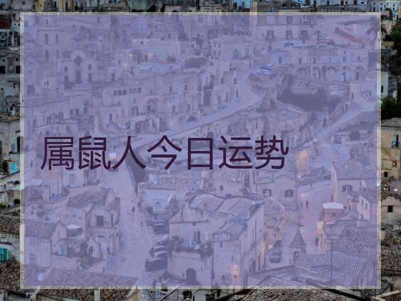 属鼠人今日运势