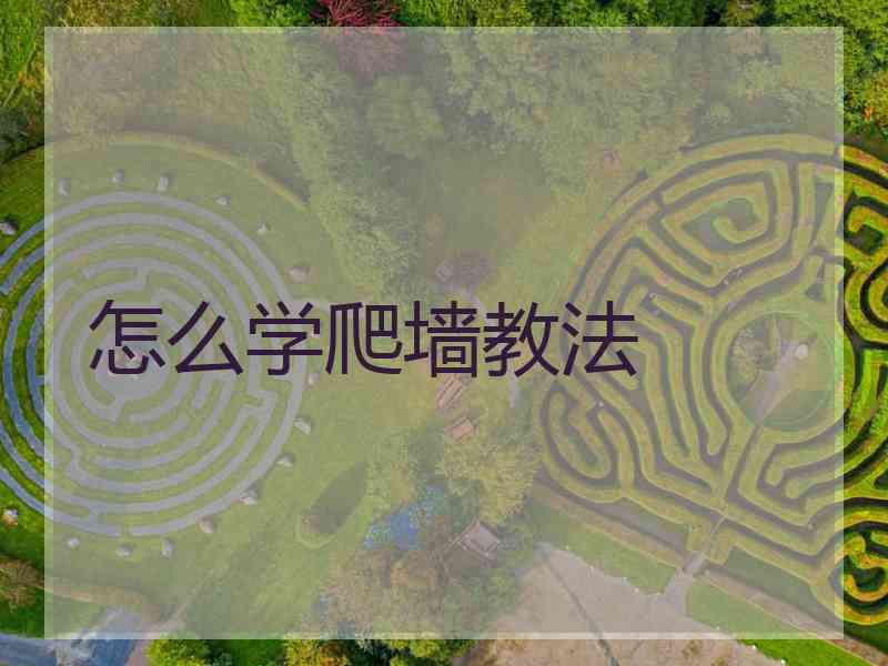 怎么学爬墙教法