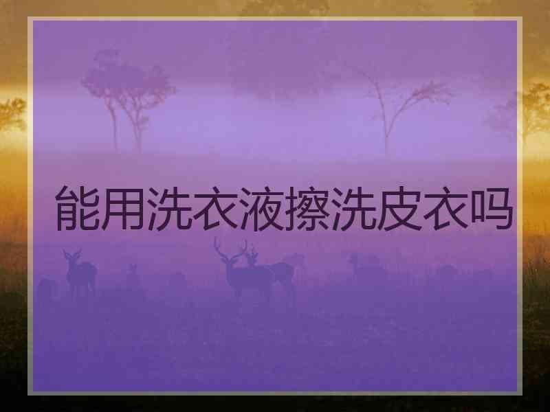 能用洗衣液擦洗皮衣吗