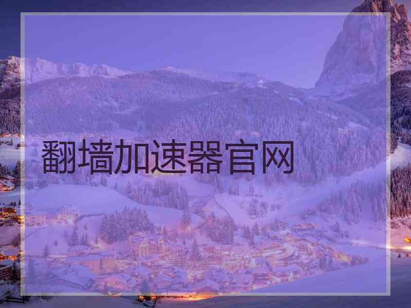翻墙加速器官网