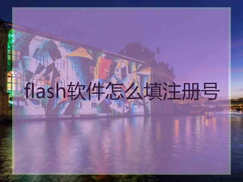 flash软件怎么填注册号