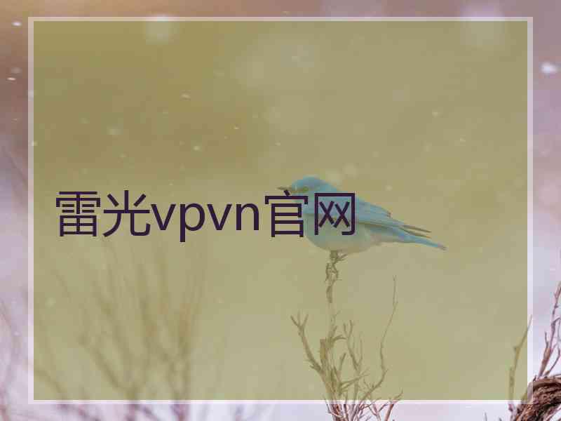 雷光vpvn官网