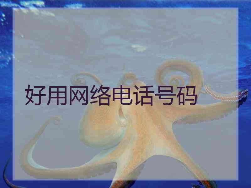 好用网络电话号码