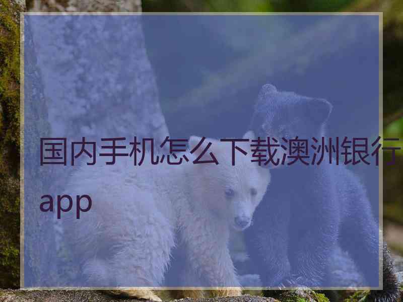 国内手机怎么下载澳洲银行app