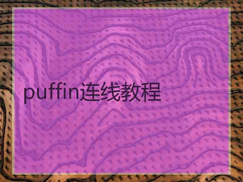 puffin连线教程