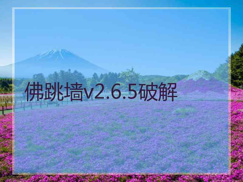 佛跳墙v2.6.5破解