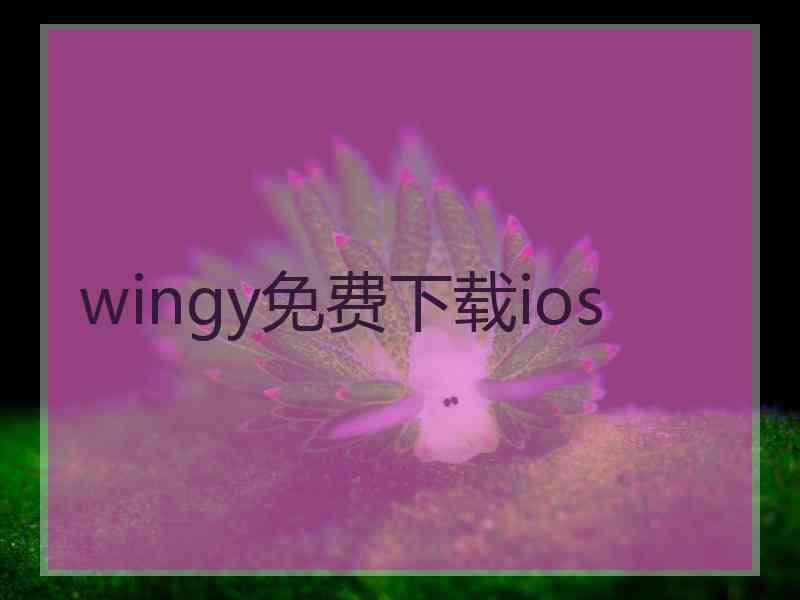 wingy免费下载ios