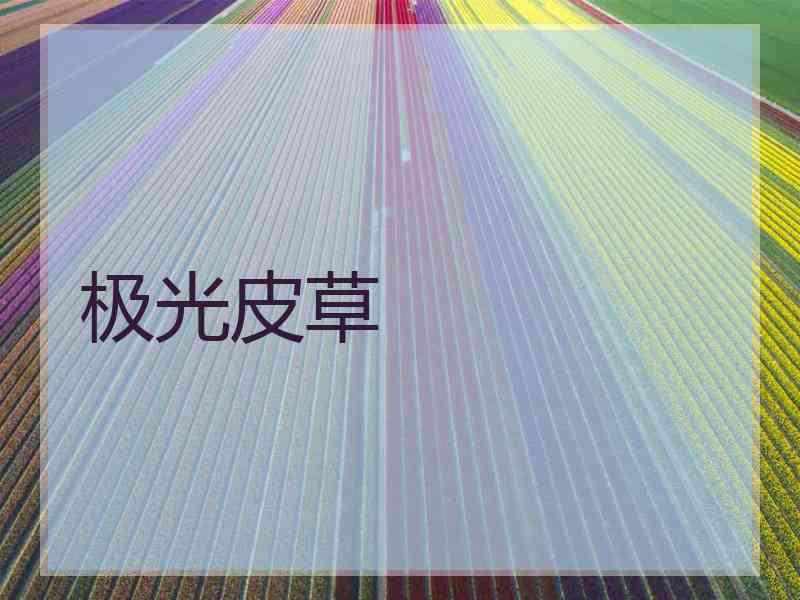 极光皮草