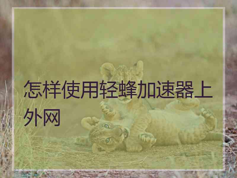 怎样使用轻蜂加速器上外网