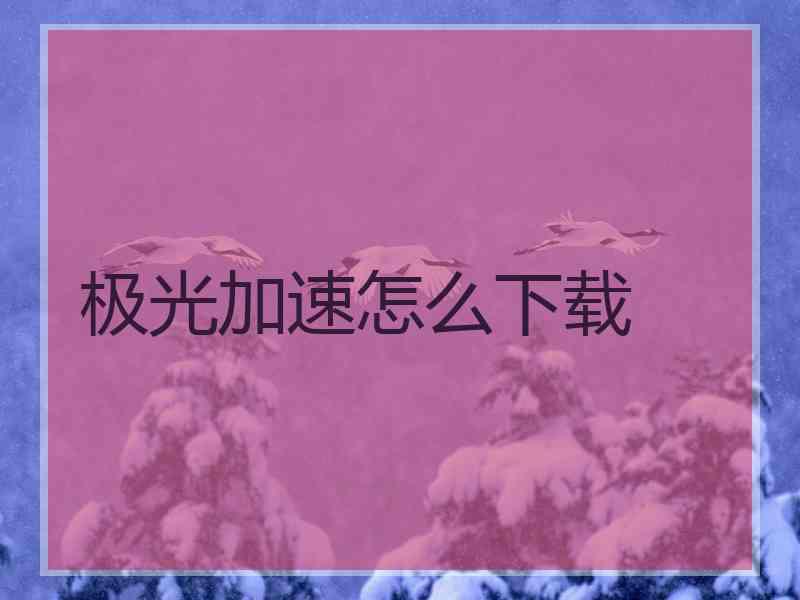 极光加速怎么下载