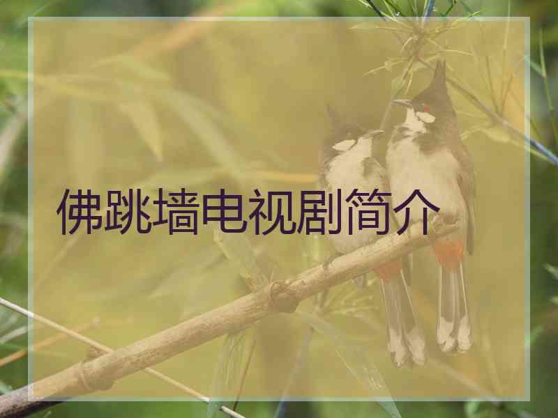 佛跳墙电视剧简介