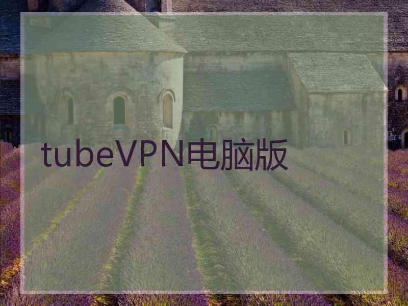 tubeVPN电脑版