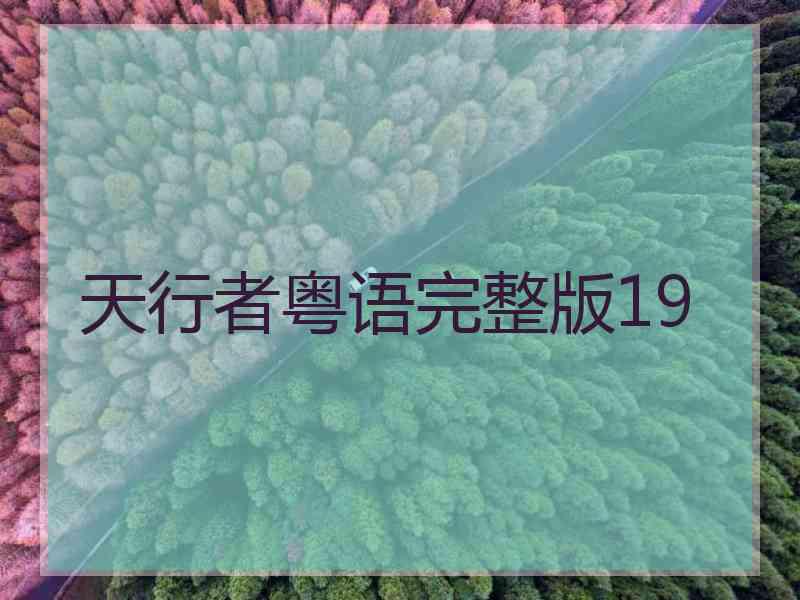 天行者粤语完整版19