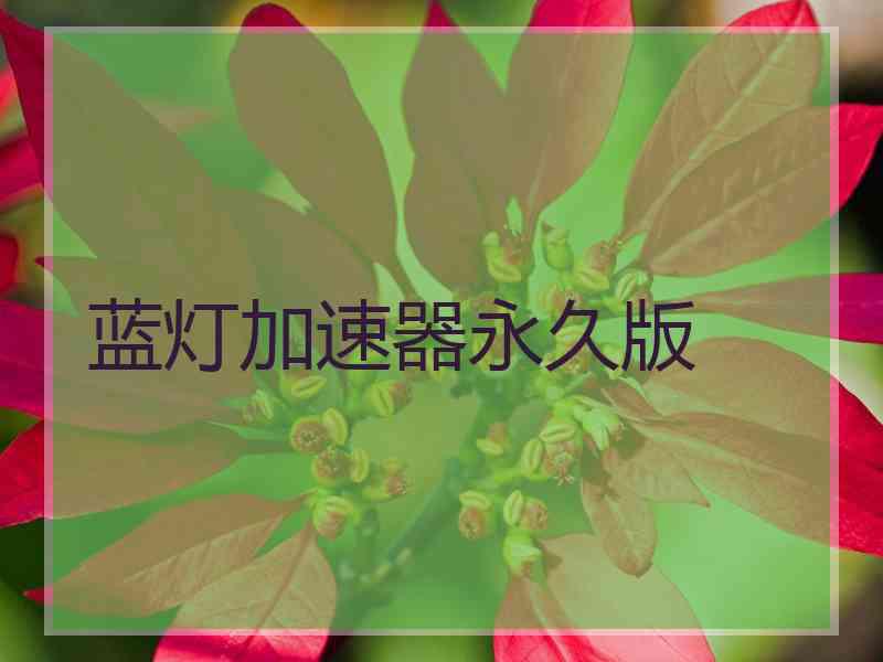 蓝灯加速器永久版