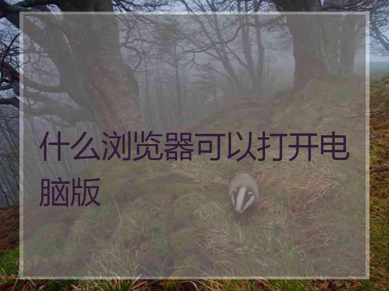 什么浏览器可以打开电脑版