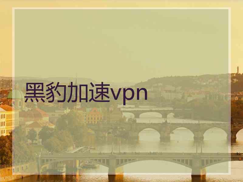 黑豹加速vpn