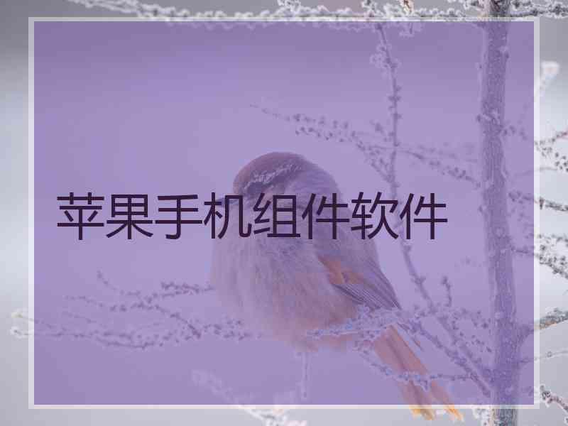 苹果手机组件软件