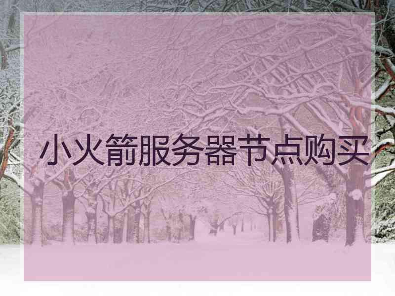小火箭服务器节点购买