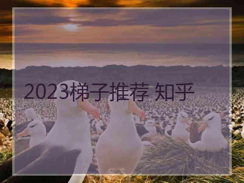 2023梯子推荐 知乎