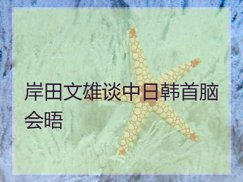 岸田文雄谈中日韩首脑会晤