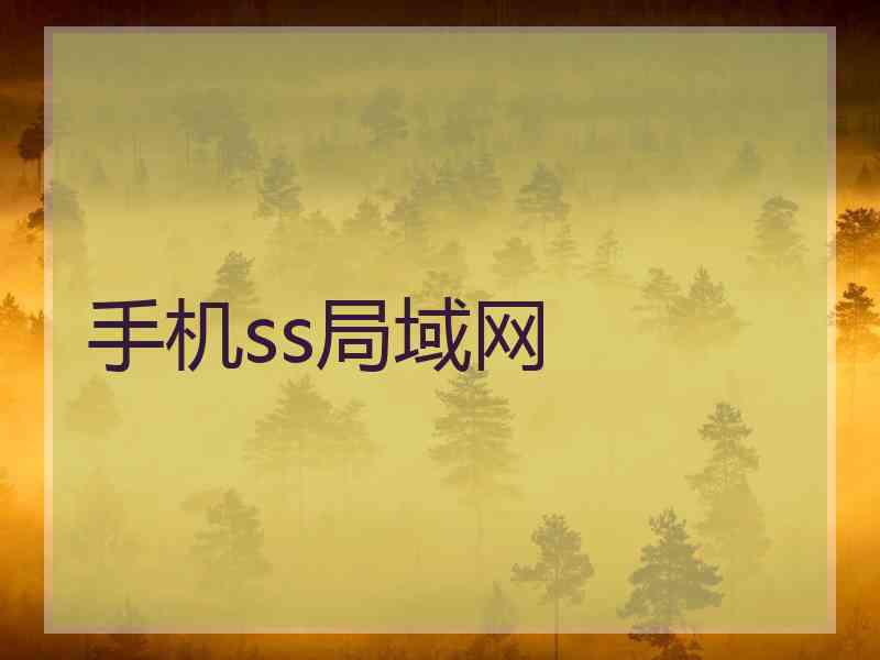手机ss局域网
