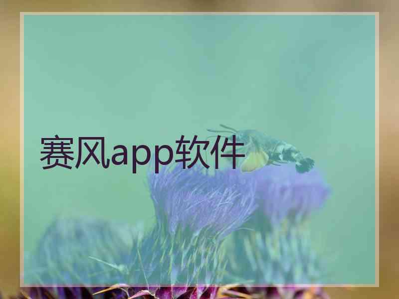 赛风app软件
