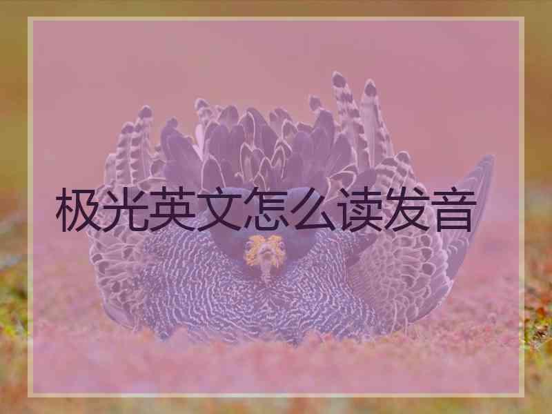 极光英文怎么读发音