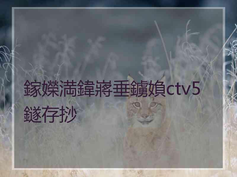 鎵嬫満鍏嶈垂鐪媍ctv5鐩存挱