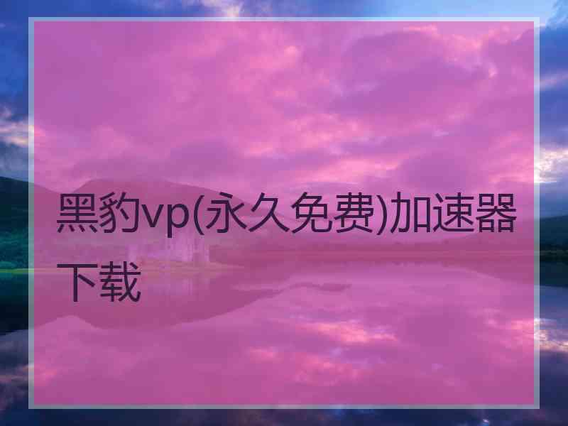 黑豹vp(永久免费)加速器下载