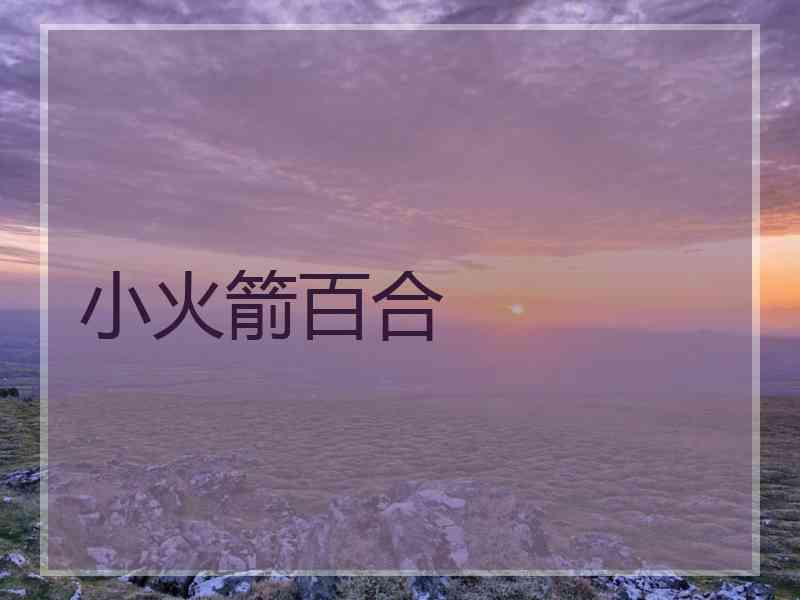 小火箭百合