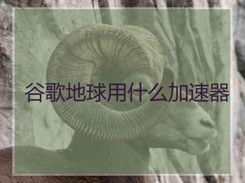 谷歌地球用什么加速器